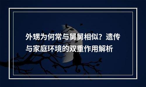 外甥为何常与舅舅相似？遗传与家庭环境的双重作用解析