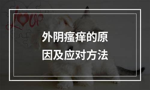 外阴瘙痒的原因及应对方法