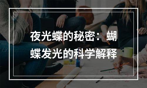 夜光蝶的秘密：蝴蝶发光的科学解释