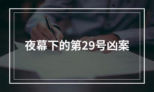 夜幕下的第29号凶案
