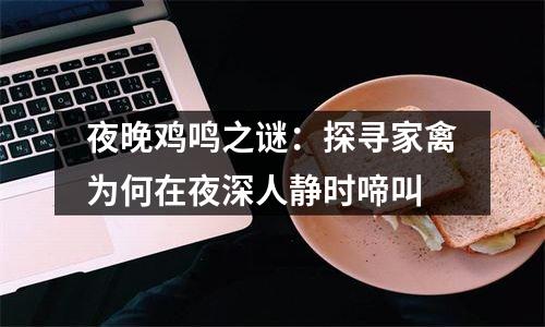夜晚鸡鸣之谜：探寻家禽为何在夜深人静时啼叫