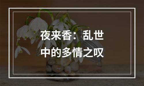 夜来香：乱世中的多情之叹