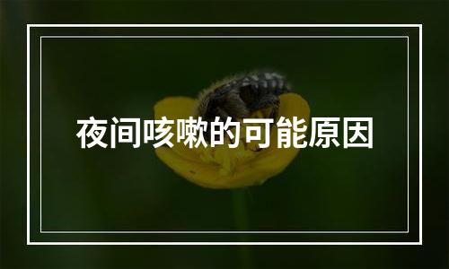 夜间咳嗽的可能原因