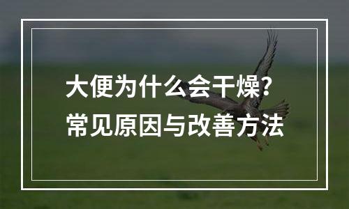 大便为什么会干燥？常见原因与改善方法