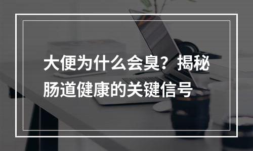 大便为什么会臭？揭秘肠道健康的关键信号