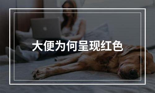 大便为何呈现红色