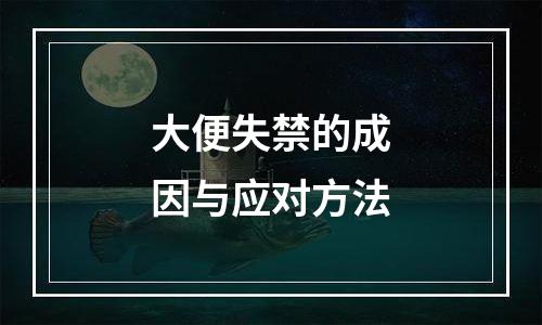 大便失禁的成因与应对方法