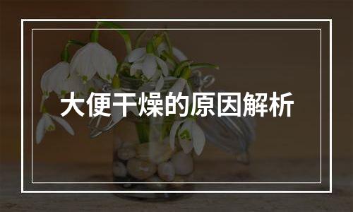 大便干燥的原因解析