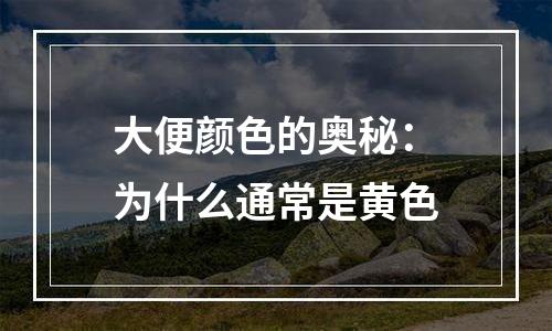 大便颜色的奥秘：为什么通常是黄色