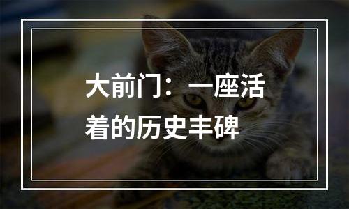 大前门：一座活着的历史丰碑