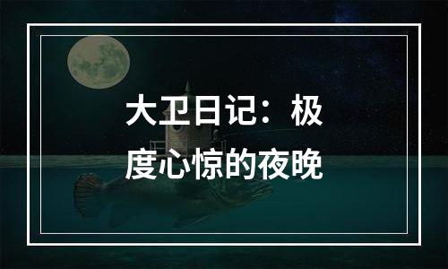 大卫日记：极度心惊的夜晚