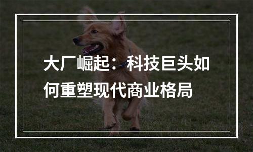 大厂崛起：科技巨头如何重塑现代商业格局