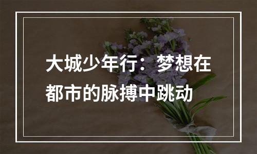大城少年行：梦想在都市的脉搏中跳动