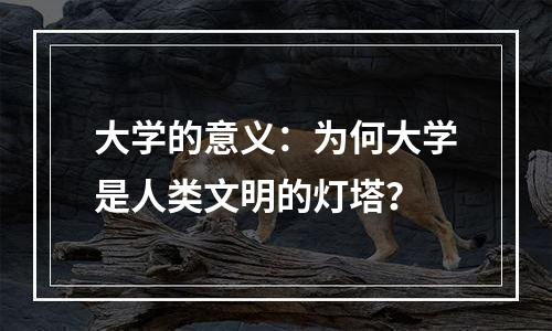 大学的意义：为何大学是人类文明的灯塔？