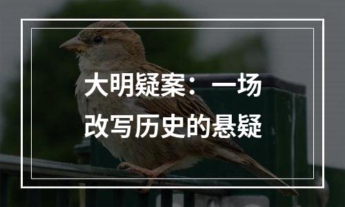 大明疑案：一场改写历史的悬疑