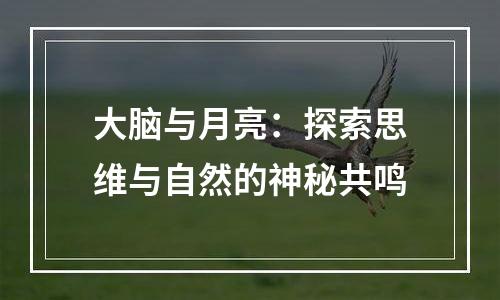大脑与月亮：探索思维与自然的神秘共鸣