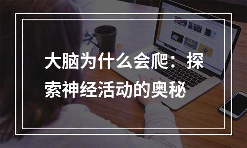 大脑为什么会爬：探索神经活动的奥秘