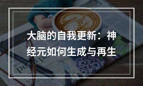 大脑的自我更新：神经元如何生成与再生