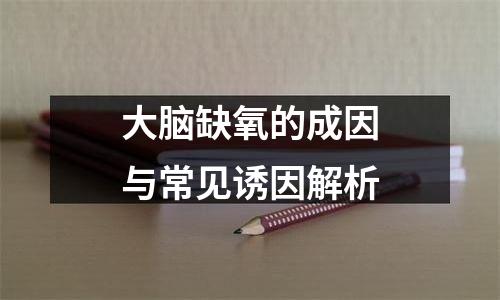 大脑缺氧的成因与常见诱因解析