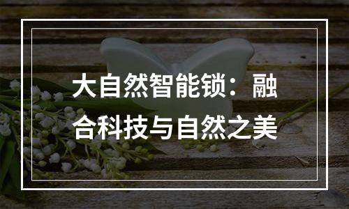 大自然智能锁：融合科技与自然之美