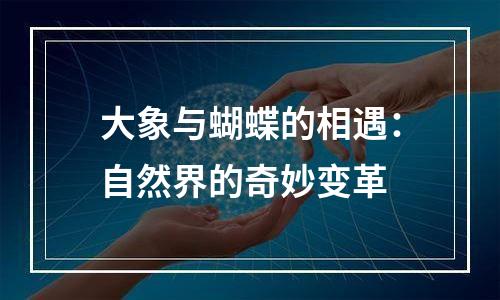 大象与蝴蝶的相遇：自然界的奇妙变革