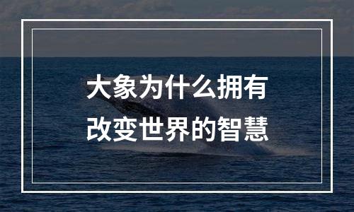 大象为什么拥有改变世界的智慧