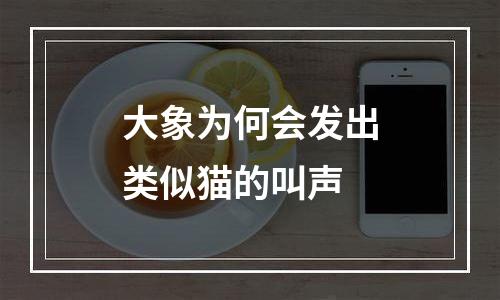大象为何会发出类似猫的叫声