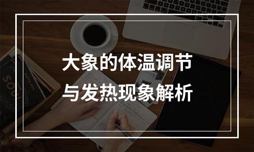 大象的体温调节与发热现象解析