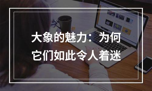 大象的魅力：为何它们如此令人着迷