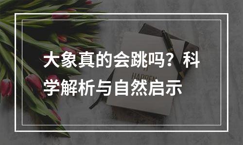 大象真的会跳吗？科学解析与自然启示