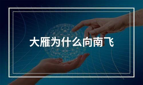 大雁为什么向南飞