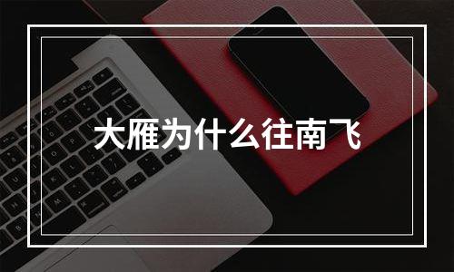 大雁为什么往南飞