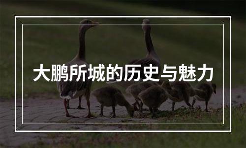 大鹏所城的历史与魅力