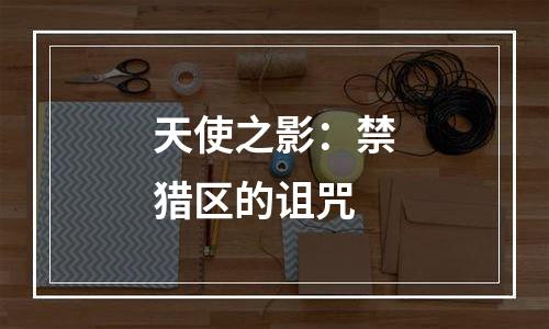 天使之影：禁猎区的诅咒