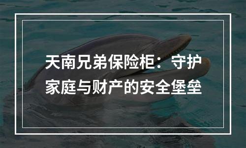 天南兄弟保险柜：守护家庭与财产的安全堡垒