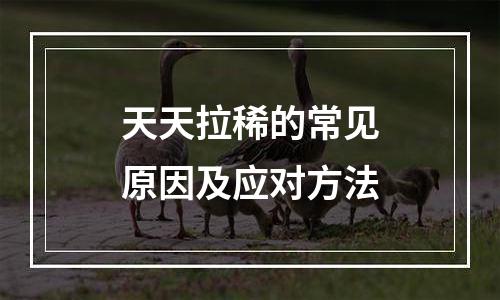 天天拉稀的常见原因及应对方法