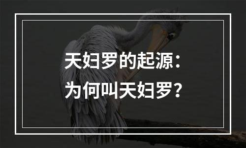天妇罗的起源：为何叫天妇罗？
