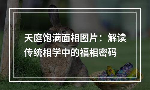 天庭饱满面相图片：解读传统相学中的福相密码