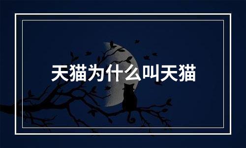 天猫为什么叫天猫