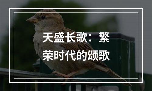 天盛长歌：繁荣时代的颂歌