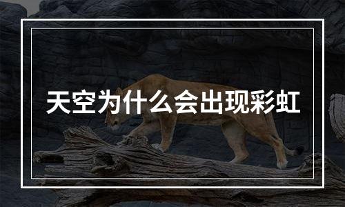 天空为什么会出现彩虹