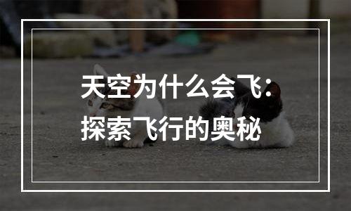 天空为什么会飞：探索飞行的奥秘