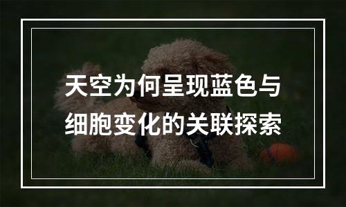 天空为何呈现蓝色与细胞变化的关联探索