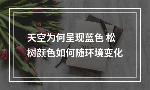天空为何呈现蓝色 松树颜色如何随环境变化