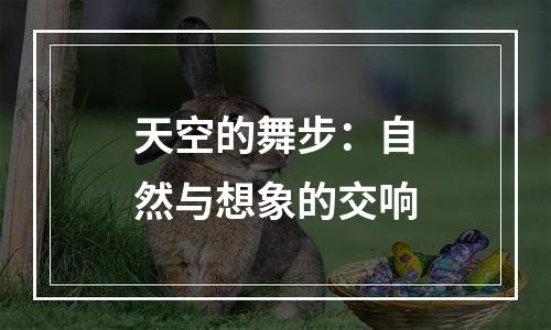天空的舞步：自然与想象的交响