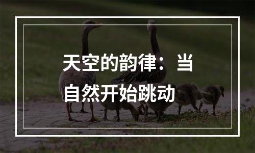 天空的韵律：当自然开始跳动