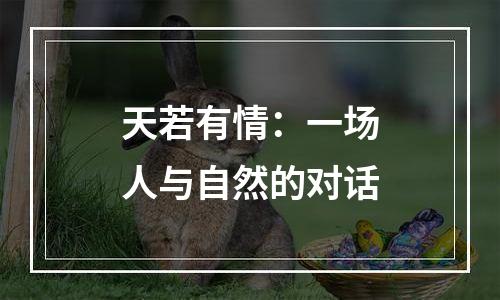 天若有情：一场人与自然的对话