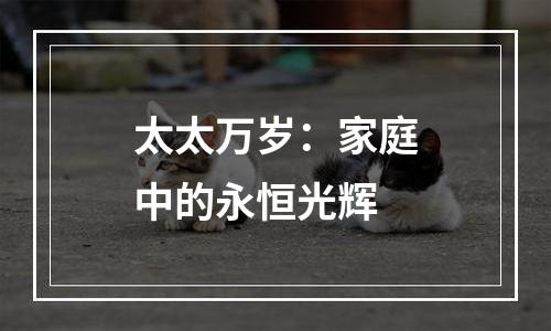 太太万岁：家庭中的永恒光辉