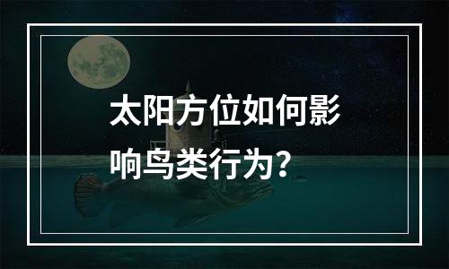 太阳方位如何影响鸟类行为？