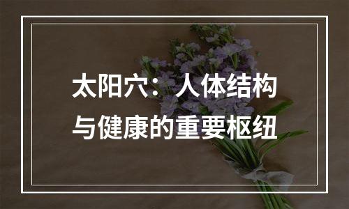 太阳穴：人体结构与健康的重要枢纽